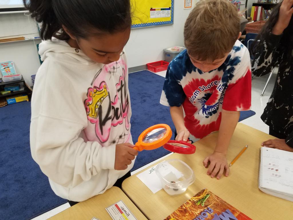 FSEtracyteach's tweet photo. Why is the Statue of Liberty green? 2nd Eagles will tell you it's a chemical reaction of copper and acid rain, bubbles & all #sciencesoars https://t.co/VAnA6BwDUP