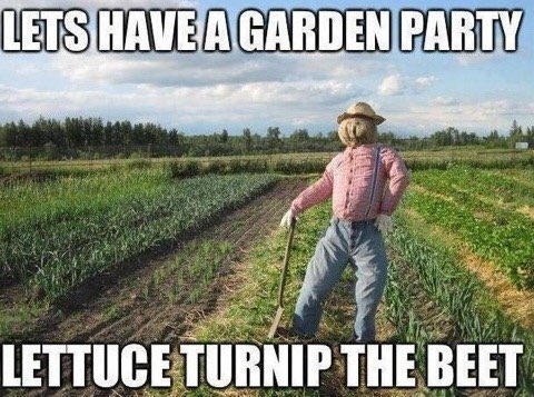 DSUMarket's tweet photo. Tuesday's Market day, but today is Saturday. Remember to come out this week to the Market and get those fresh veggies you know and love. https://t.co/Ivs9spomI2