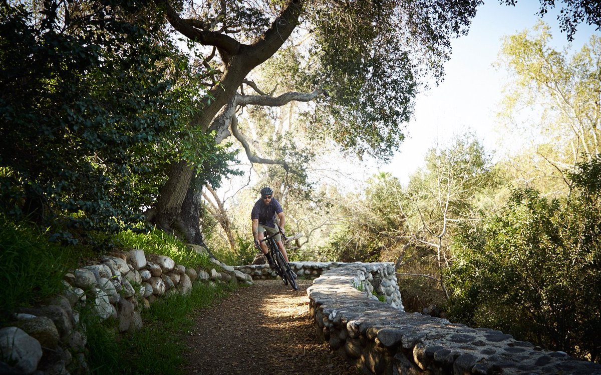 JaysCycleCenter's tweet photo. Another awesome @iamspecialized Adventure Dispatch featuring the Diverge, the perfect bike for cycling adventures! 

https://t.co/Q4VKlHRW9H https://t.co/TQagVvnRzM