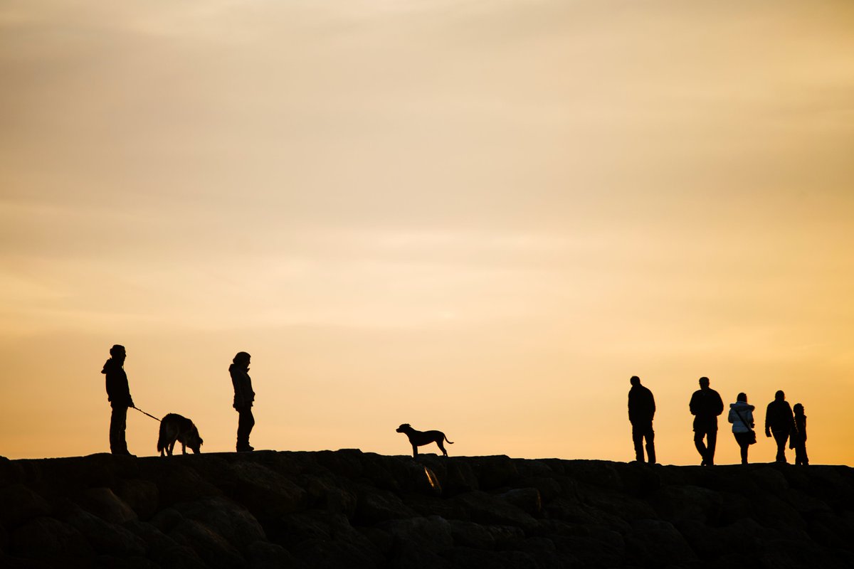HCW_PHOTO's tweet photo. #beachdogs #streetphotography #everybodystreet #beach #sunset https://t.co/CTDduXn6fi