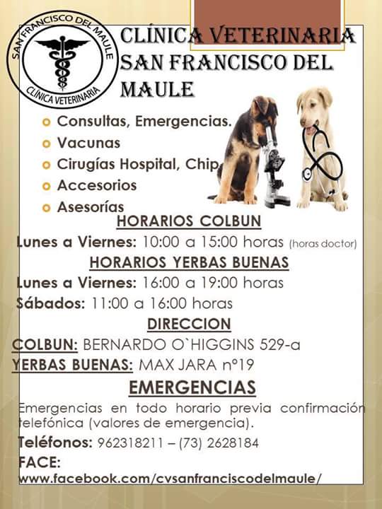 AndreaLeon1313's tweet photo. @TonkaTP CLÍNICA VETERINARIA SAN FRANCISCO DEL MAULE OFRECE CONSULTAS COMPLETAMENTE GRATUITAS #BVcontodos https://t.co/w6maOBVm5s