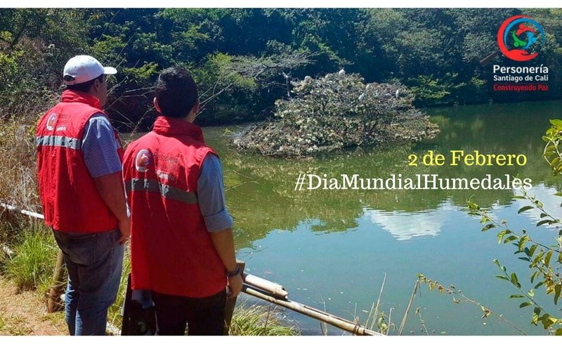 personeriacali's tweet image. Hemos visibilizado las principales amenazas de los humedales de Cali #DiaMundialHumedales ¡Ayúdanos en su protección! |
 @YoReportoCo