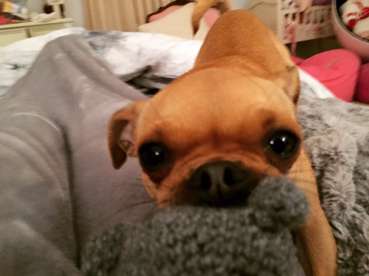 MissDaisyHarmon's tweet photo. I take what's MINE #ChugLife https://t.co/DKFKuvqqiN