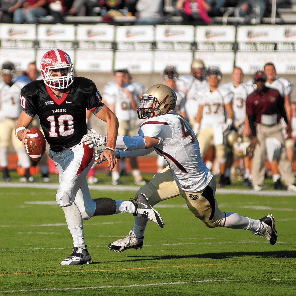 Jake Cirillo tweet media