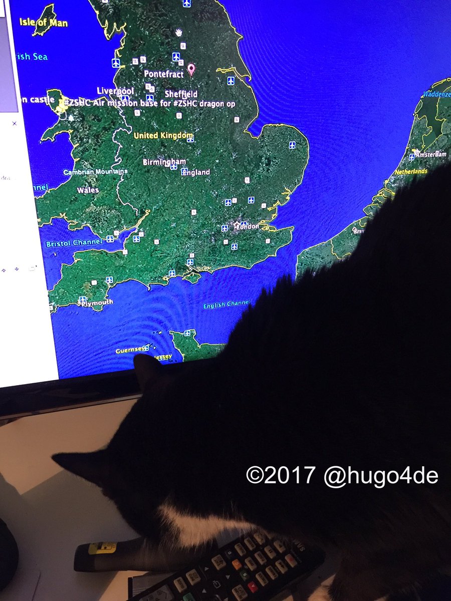 hugo4de's tweet photo. we should have #SATINT of the area soon @MoetBlindCat @ZombieSquadHQ 
save our @Biddybt 😎👊✌️
@sweetAbby20 #ZSHQ #zst https://t.co/wjbbsWg8Tt