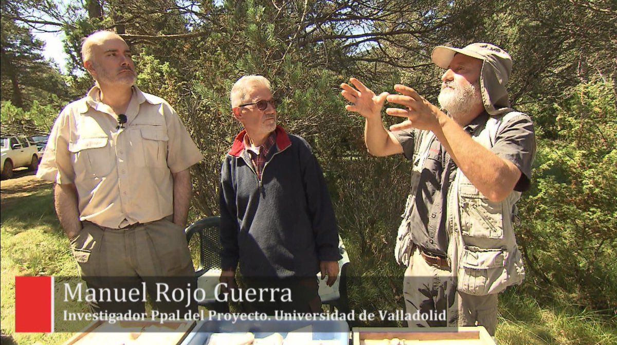 cristobalpenalb's tweet photo. Ya Serie #ElTúnelDelTiempo cueva “Els Trocs” orígenes #trashumancia @Area_Tecnologia @rutamedelca📺@la2_tve @aventurasaber miércoles1, 9:55am https://t.co/lBLj7amu4Z