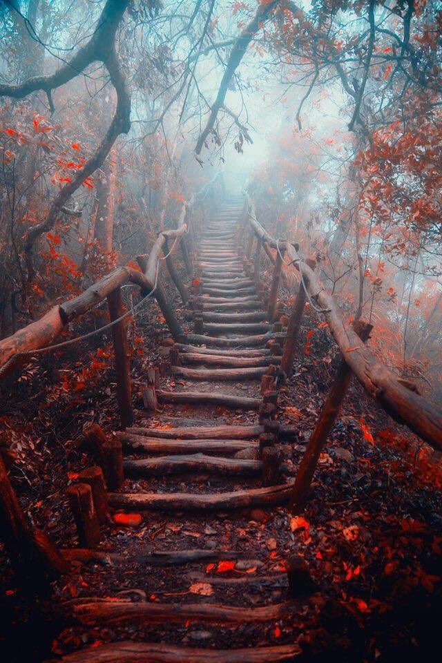 DrKrisMorris's tweet photo. If you find all your roads and paths blocked, He will show you a secret way that no one knows - Rumi #therapy helps #districtpsychotherapy https://t.co/NIB6UVYjtu