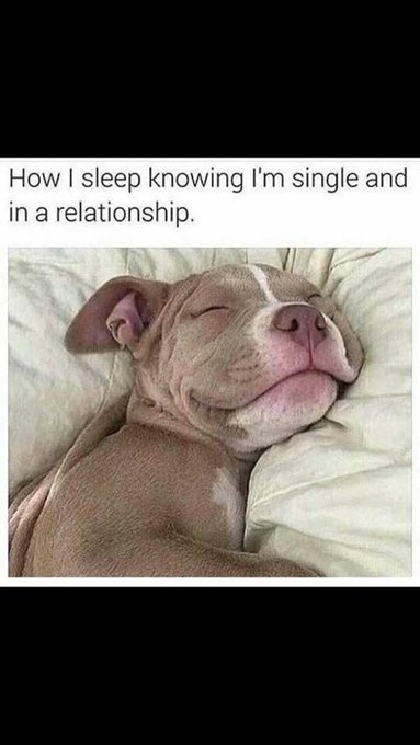 😂😭😭😭😭 https://t.co/OYkx4gr76c