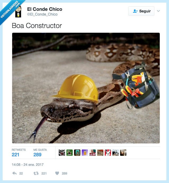 Visto en las Redes tweet media
