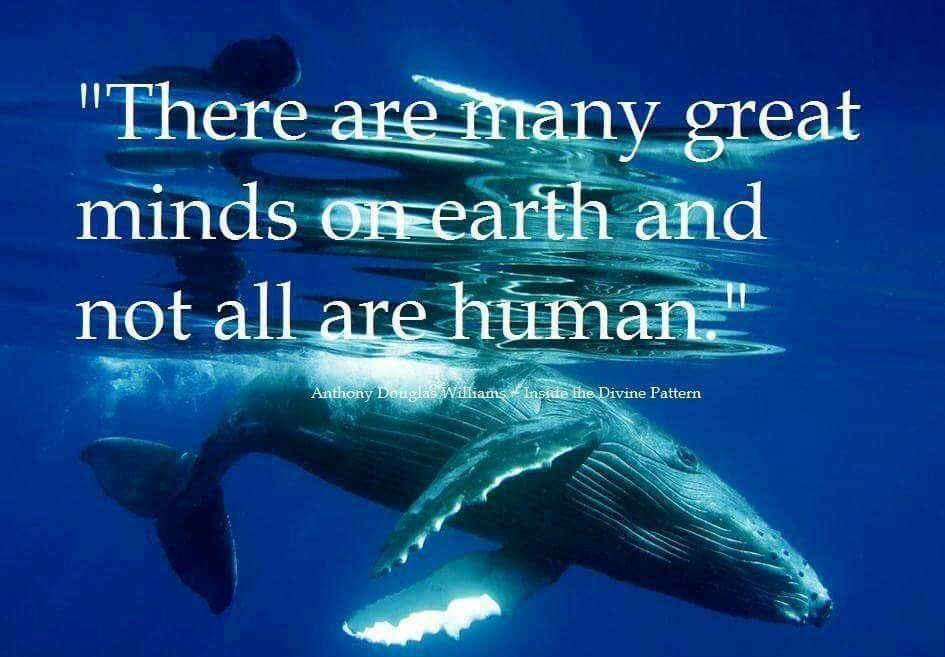 Michaela (@michaelafinnan) on Twitter photo 