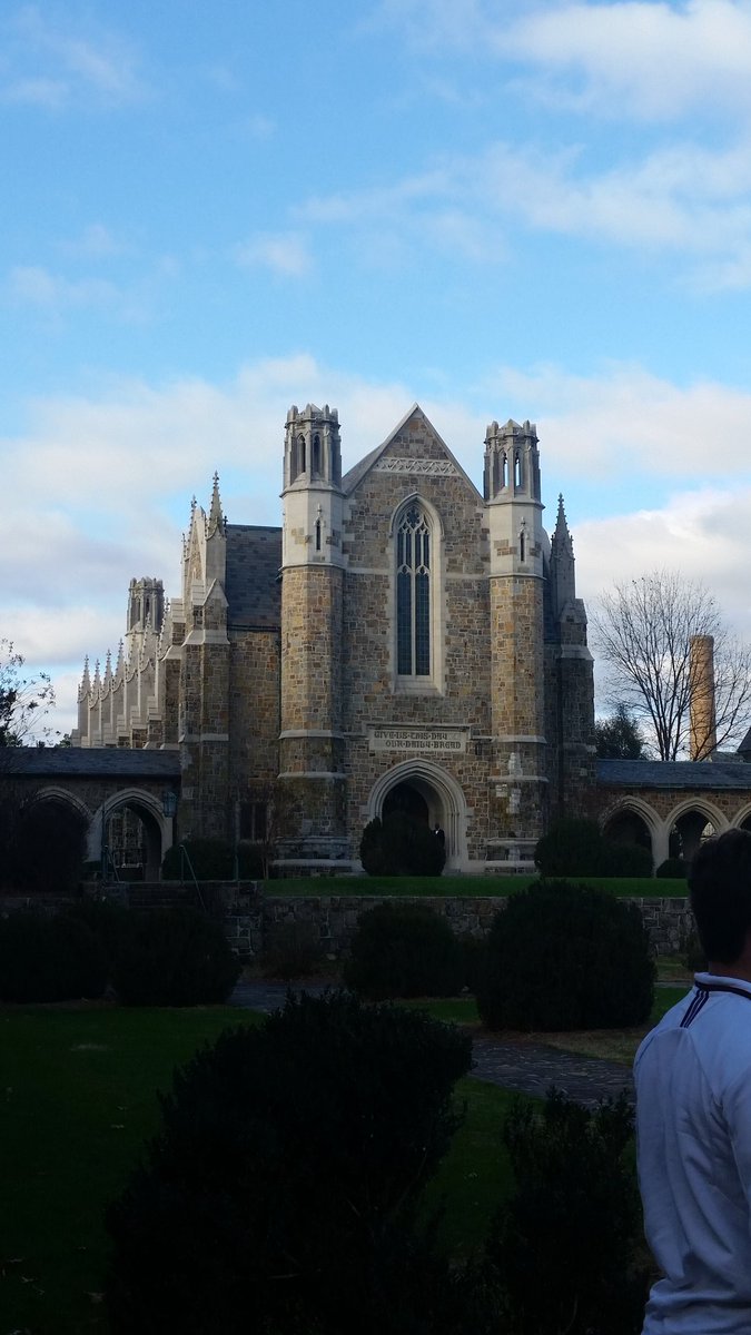 Nate 7🐻 tweet media