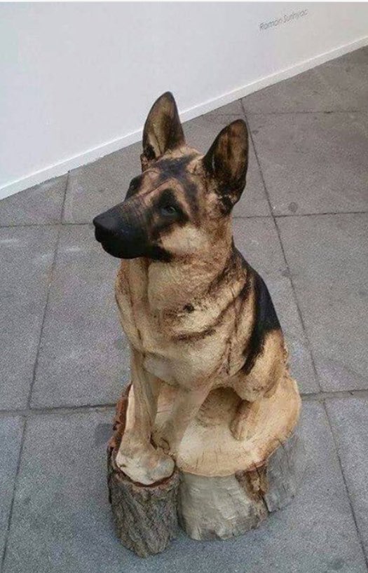 AmazlngPictures's tweet photo. A German Shepard carved from a log 😧🐕🌳 https://t.co/o0XN2Vq5jQ