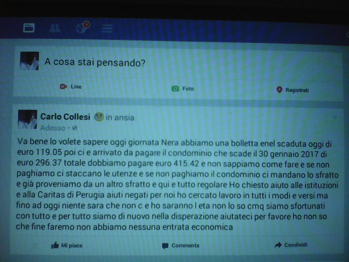 Carlo Collesi tweet media