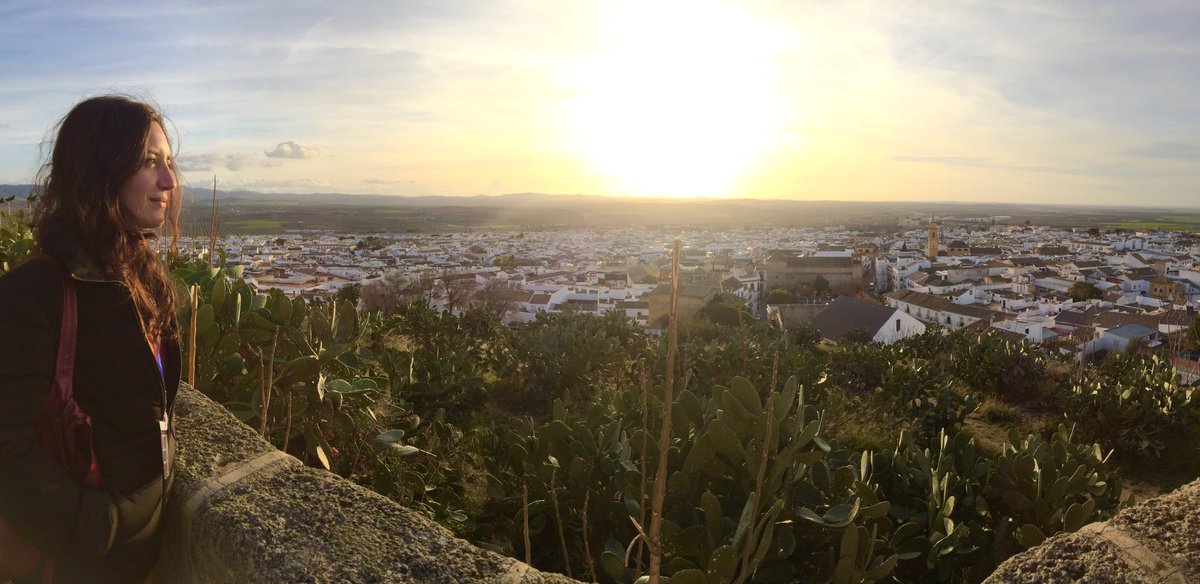 PatasArribaBlog's tweet photo. Cae la tarde en #Osuna y las vistas desde la colegiata nos ofrecen este atardecer. Seguimos #aunahorade Sevilla https://t.co/mTVXKa4KYn