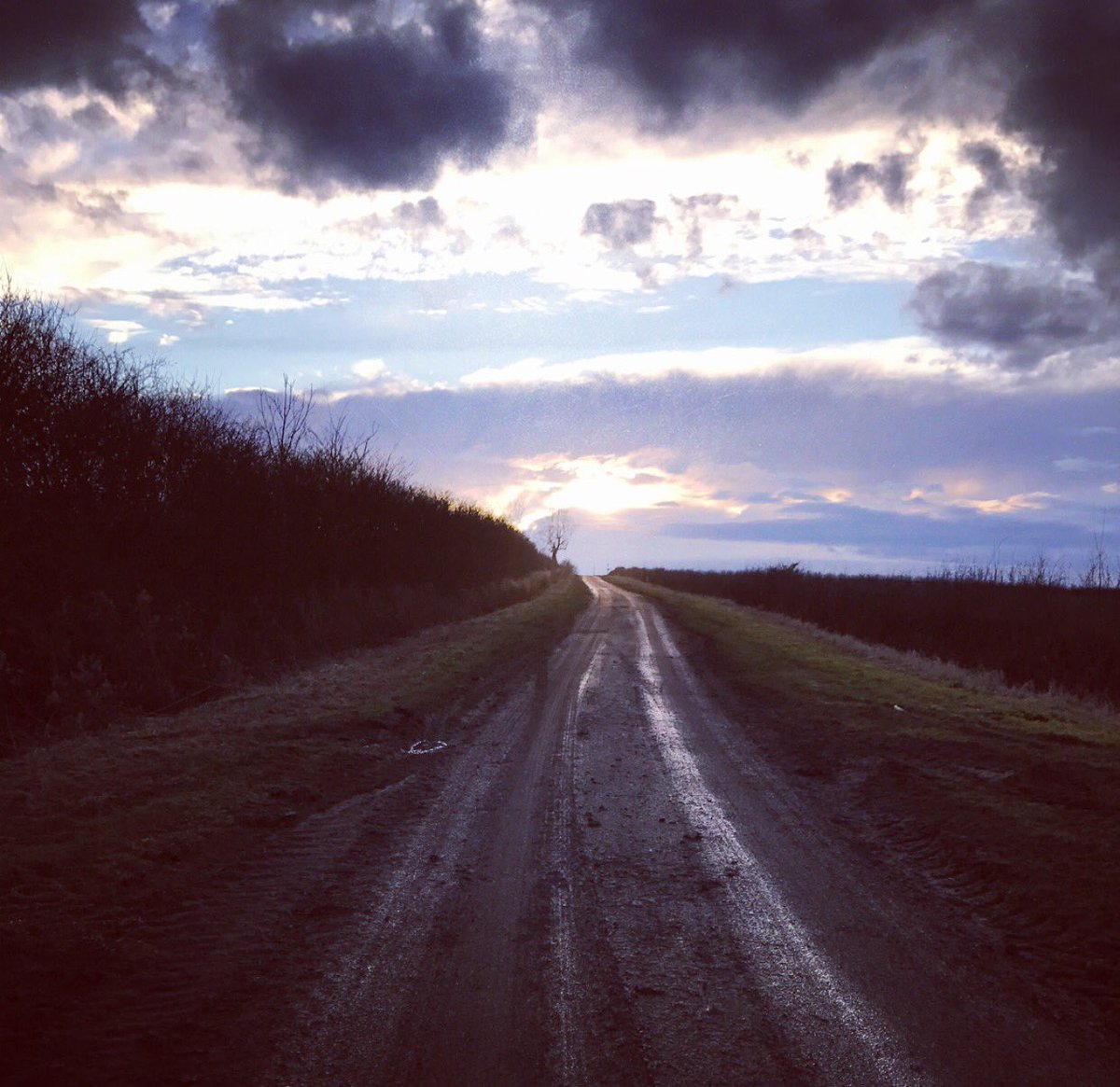 15 miles #LSR whilst listening to #DavidBowieLegacy Perfect Saturday afternoon out on the roads  #marathontraining 🌄 #loosingthelight 🏃🏻‍♀️😊