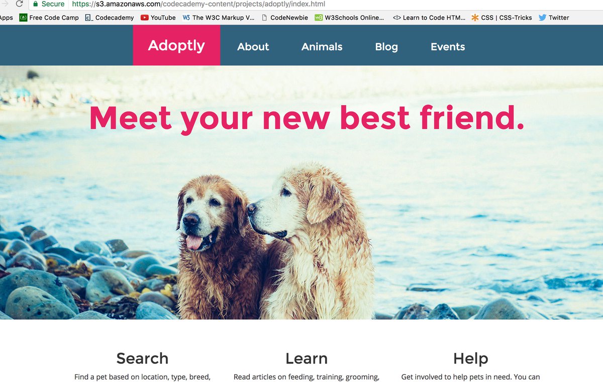 reid_lo's tweet image. Today's project on @Codecademypro Adoptly, this is how the page is supposed to be 😊 #html #css #learnwebdev #webdevelopment #learntocode