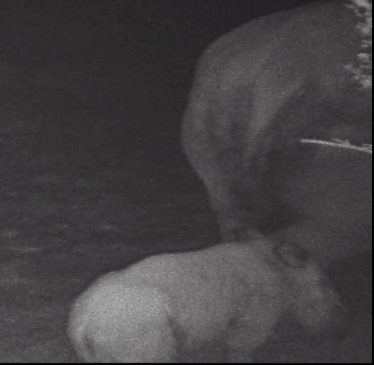 HelpingRhinos's tweet photo. EXCITING NEWS from @KariegaGameRes Miracle Mum Thandi has given birth to a 2nd calf 🦏  CONGRATULATIONS
https://t.co/QpcPDdZXFY https://t.co/dShnaYApXi