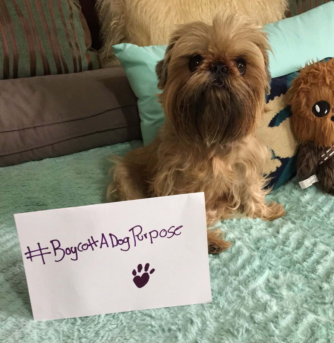 whore_80's tweet photo. #BoycottADogsPurpose ๐ซ๐ฝ๐ฌ๐ถ๐พ @peta #ADogsPurposeIsNotAbuse #AnimalRights #ADogsPurpose ๐ซ๐พ๐ถ๐ถ #chiens #perros https://t.co/05aJlDciCw