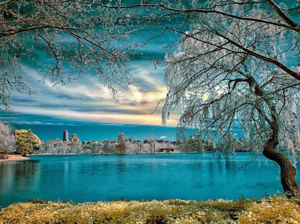 CitlalyMeraz's tweet photo. 💙💙.    💙💙.    💙💙 https://t.co/Tna1CPv3Sm