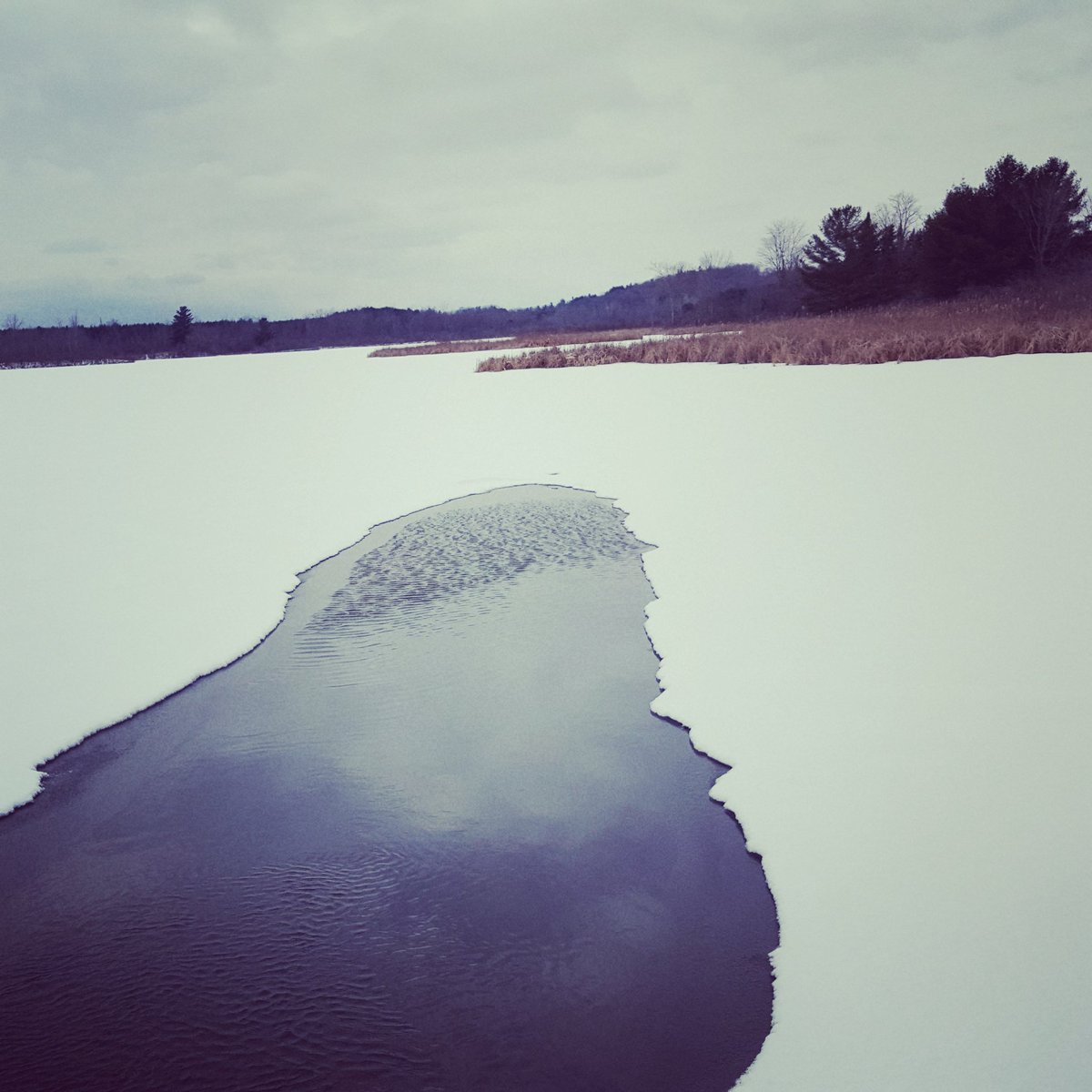 Winters progress #littlecataraquicreek #pureontario #kingston #wintersprogress