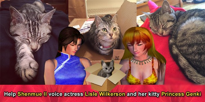 TeamYu's tweet photo. #Shenmue 2 voice actress and longtime community friend Lisle Wilkerson needs our help! Please visit https://t.co/JasDz7MUDR for details. https://t.co/L4CtiMgcqH