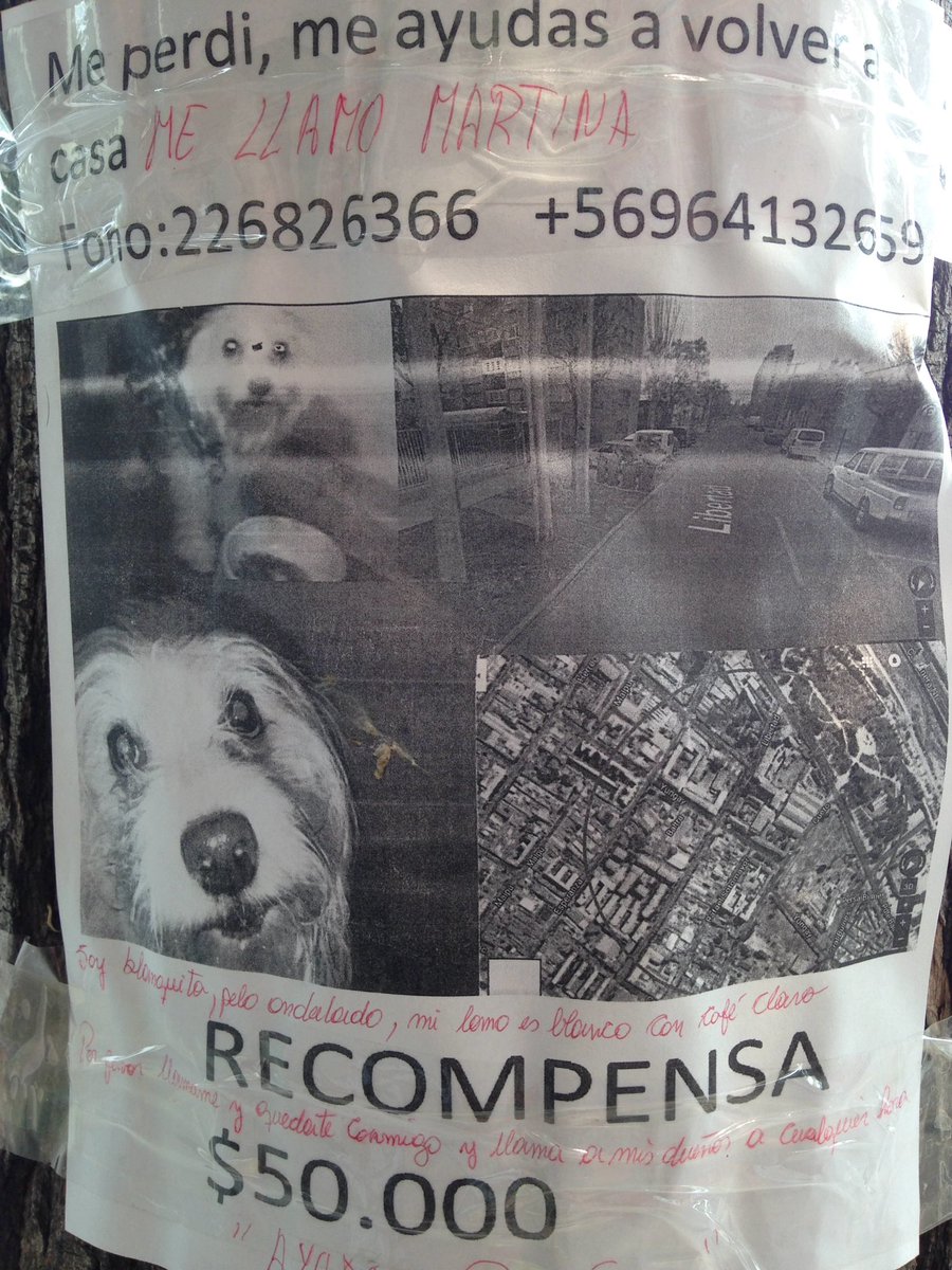 MiBarrioYungay's tweet photo. Ayudemos a encontrar a Martina extraviada en Libertad con San Pablo @Barrio_Yungay https://t.co/3E2EjSRvyG
