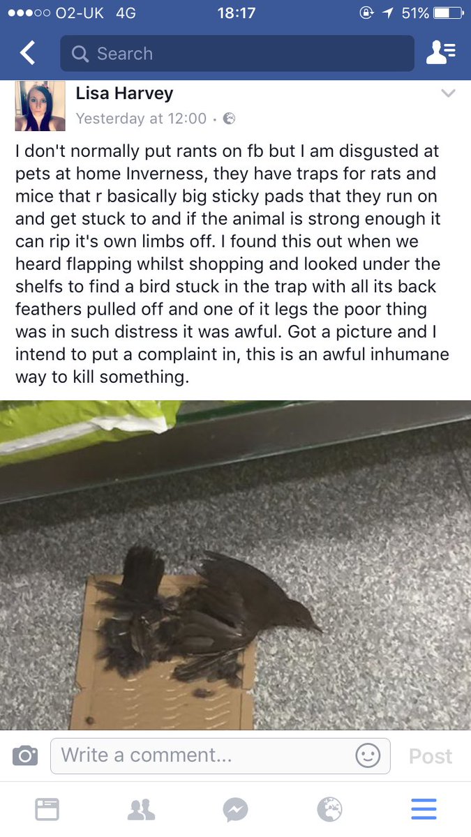 ShelliBrown92's tweet photo. @PetsatHome can you please explain why and how this is acceptable? Absolutely outrageous and cruel, This is the Inverness retail branch! #RT https://t.co/Az46WjwiPg