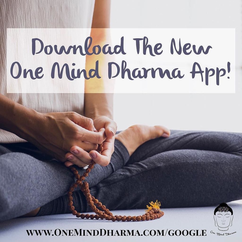 buddhacoaching's tweet photo. One Mind Dharma has an app! Listen to our guided meditations, read our blog, listen to Dha… https://t.co/x3iAlmffcl https://t.co/65LB1I8aVW