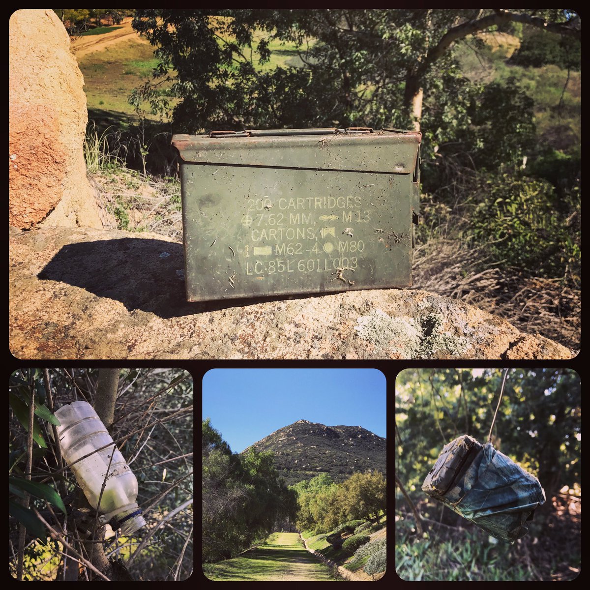 Roaming Relic tweet media