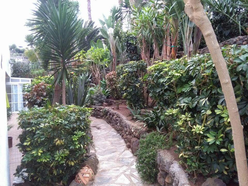 mtjardines's tweet photo. El amor 💚 por el trabajo en @mtjardines es una semilla que una vez plantada, no desaparece nunca. https://t.co/ZiA4fQ5GgJ