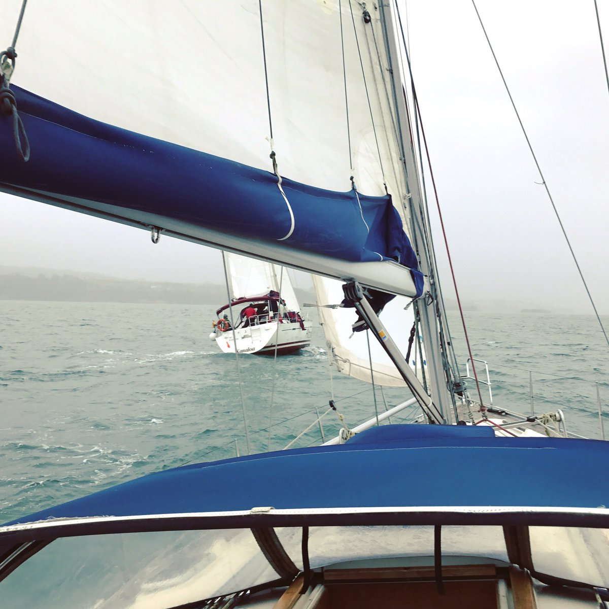 altavela's tweet image. Gran día de navegación con toda la flota en el mar!! No se puede pedir más: #viento #equipo#escuelanavegacion #sailing #marSada #RiasAltas