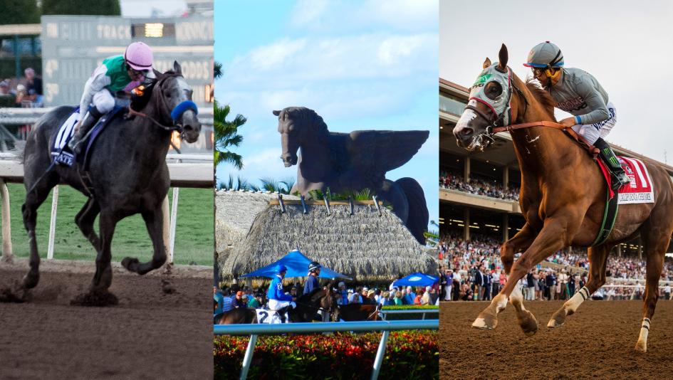 The $12M Pegasus World Cup Invitational is happening tonight bit.ly/2jIJMK9 https://t.co/JzCYK2Nxs4