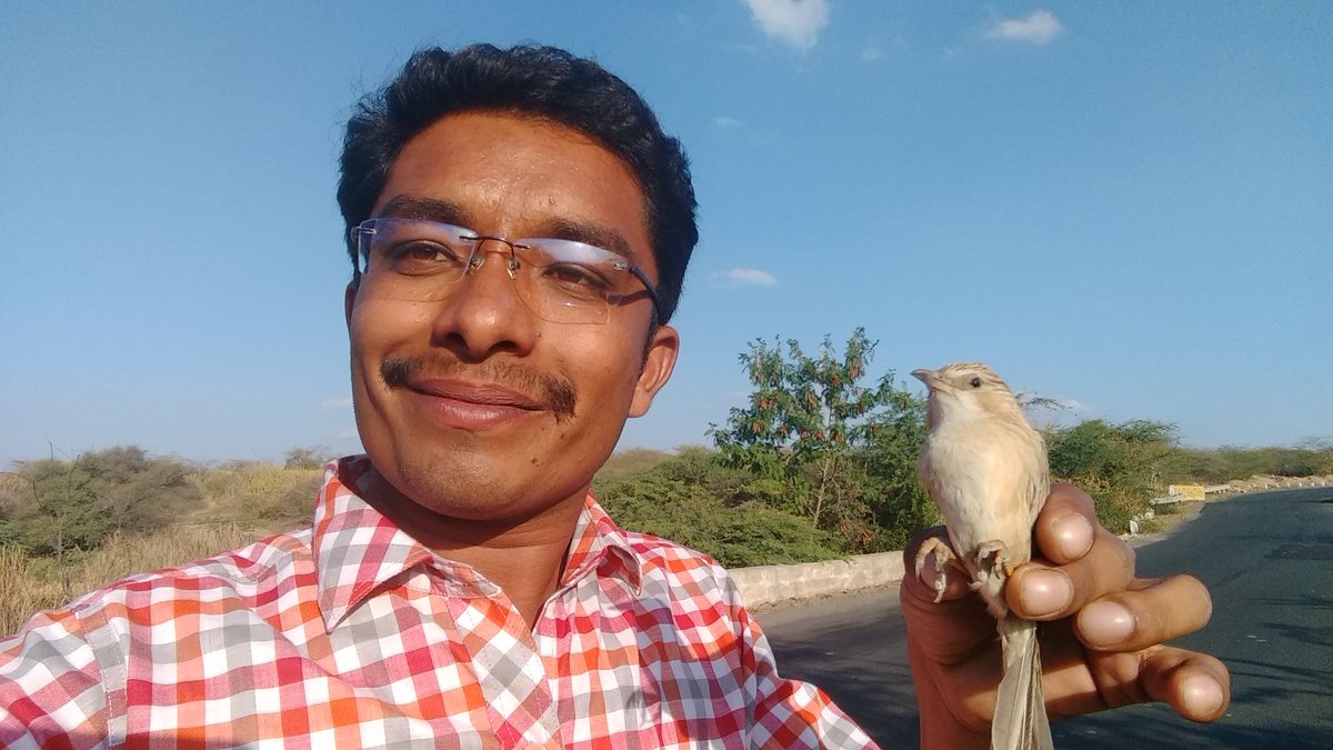 ronakdgajjar's tweet photo. It was on road as i felt it was already roadkill, Later seen its move so rescued it and Saved #CommonBabbler #Bird from #RoadKill #wildlife https://t.co/AZM1bL2D7e
