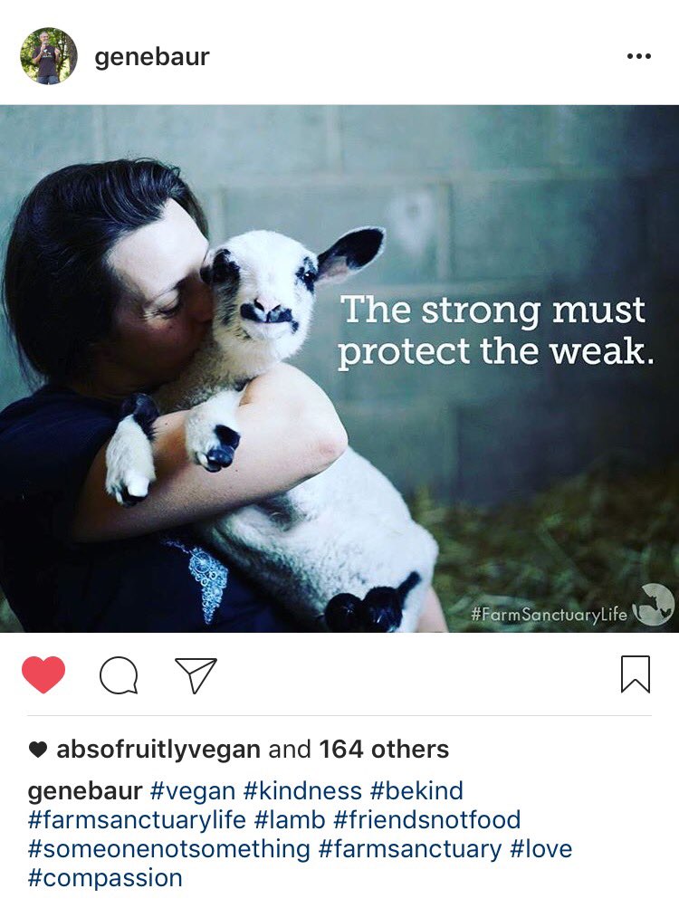 VeganJulz's tweet photo. The strong must always protect the weak, the helpless, the voiceless, the powerless. #useyourvoice #livewithcompassion #fightforwhatisright https://t.co/BrT24VYDkj