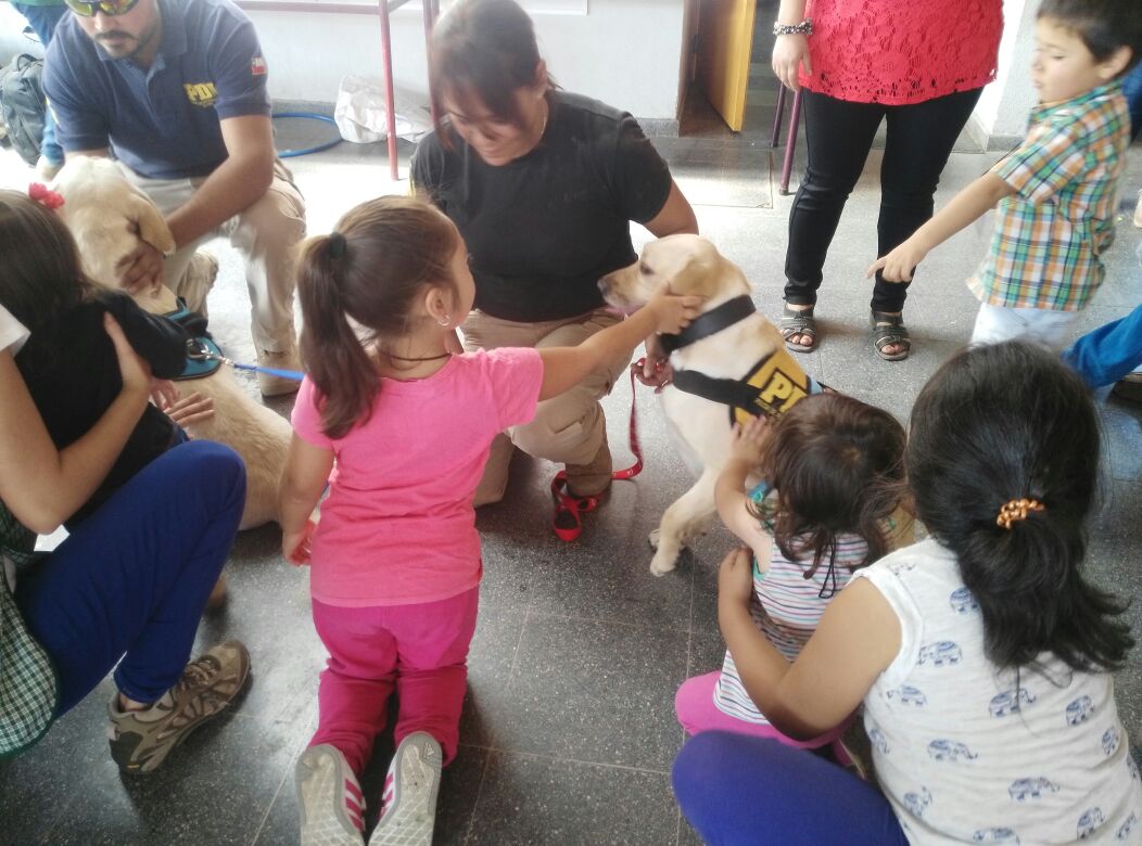 PDI_CHILE's tweet photo. Brigada Canina con perros de contención emocional visita albergue en colegio Enrique Donn de Constitución https://t.co/5lk92Wxccn