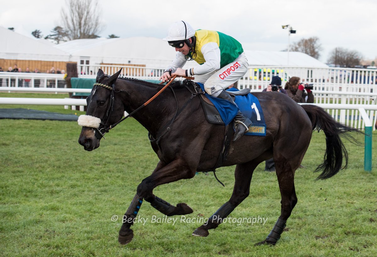 BecsBailey's tweet photo. A most courageous win at Cheltenham for Many Clouds. Rest peacefully beautiful boy. xx https://t.co/L7FybKJnaC