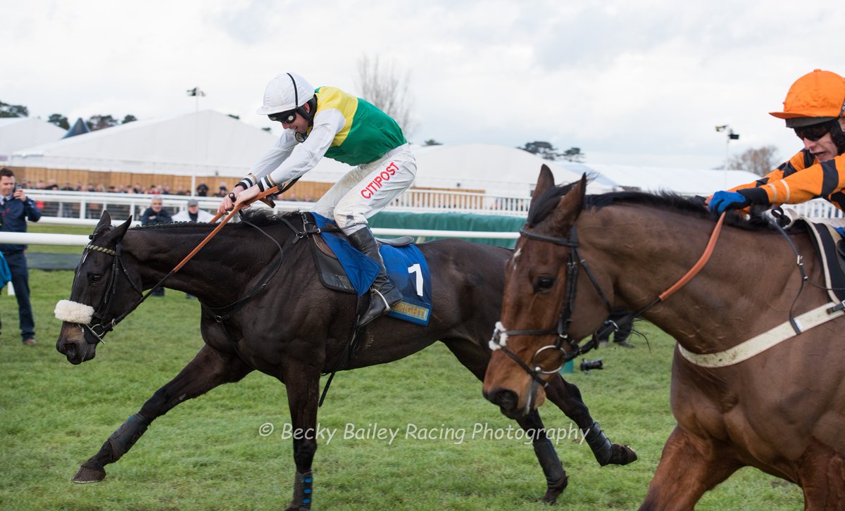 BecsBailey's tweet photo. A most courageous win at Cheltenham for Many Clouds. Rest peacefully beautiful boy. xx https://t.co/L7FybKJnaC