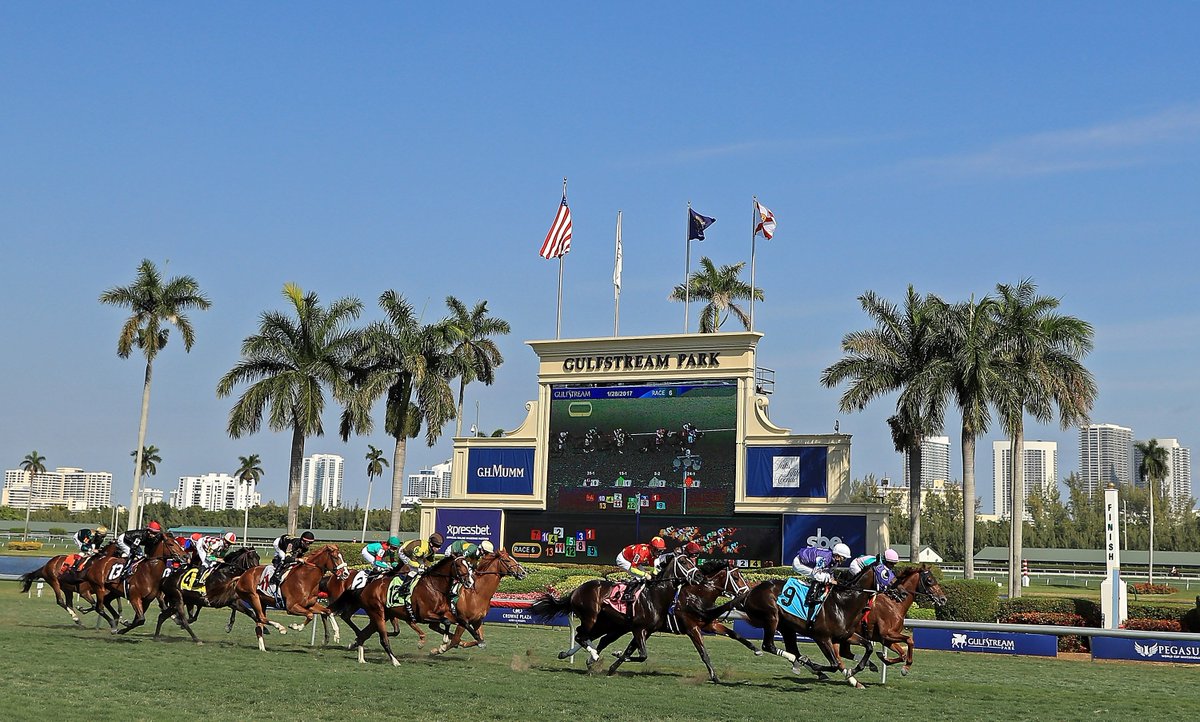 Ladbrokes's tweet photo. 🏇 Pegasus World Cup
📍 Gulfstream Park
⏰ 22:40
💰 $12,000,000 prize fund

Bet on the world's richest horse race here...https://t.co/dcxUtTPBzI https://t.co/R1RHLM76pI