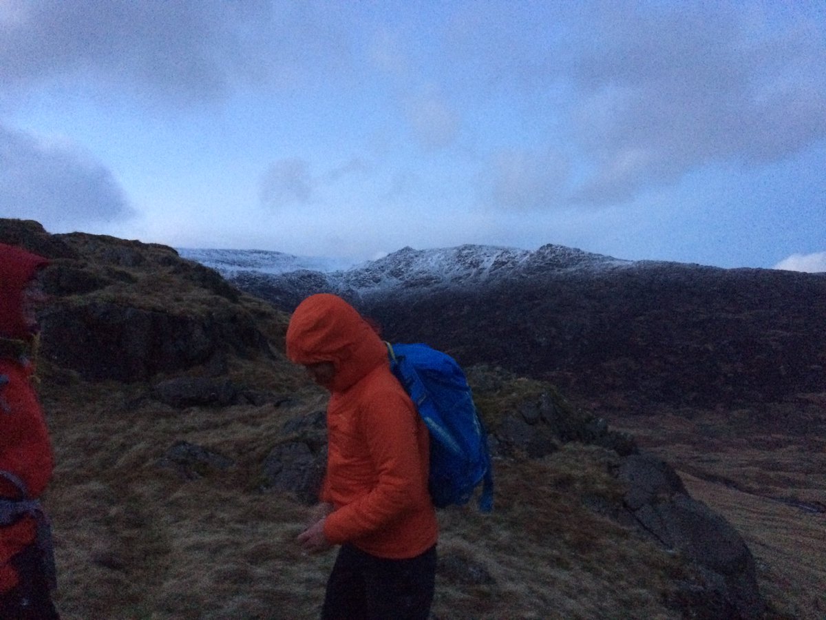 Steven Milford tweet media