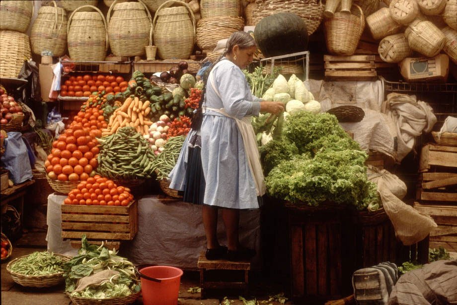 UN's tweet image. Latin America has all the necessary conditions to achieve #zerohunger by 2025 - @FAOnews chief @grazianodasilva ow.ly/3Evr308mLUa