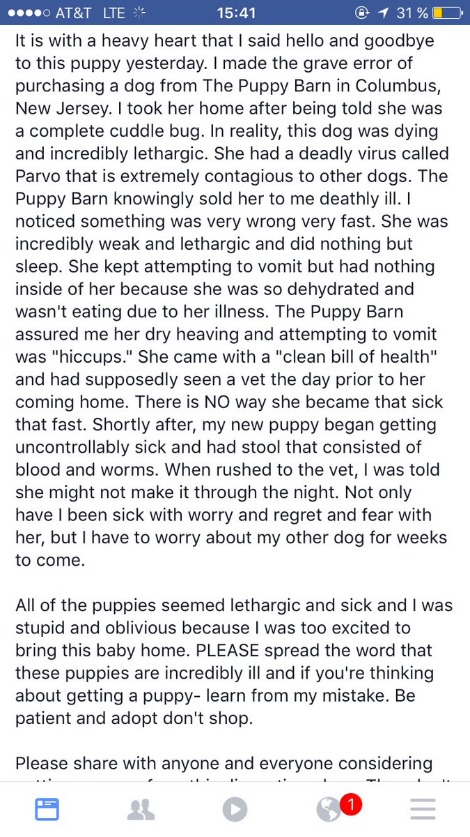 Kellie On Twitter Please Share And Stay Away From The Puppy Barn