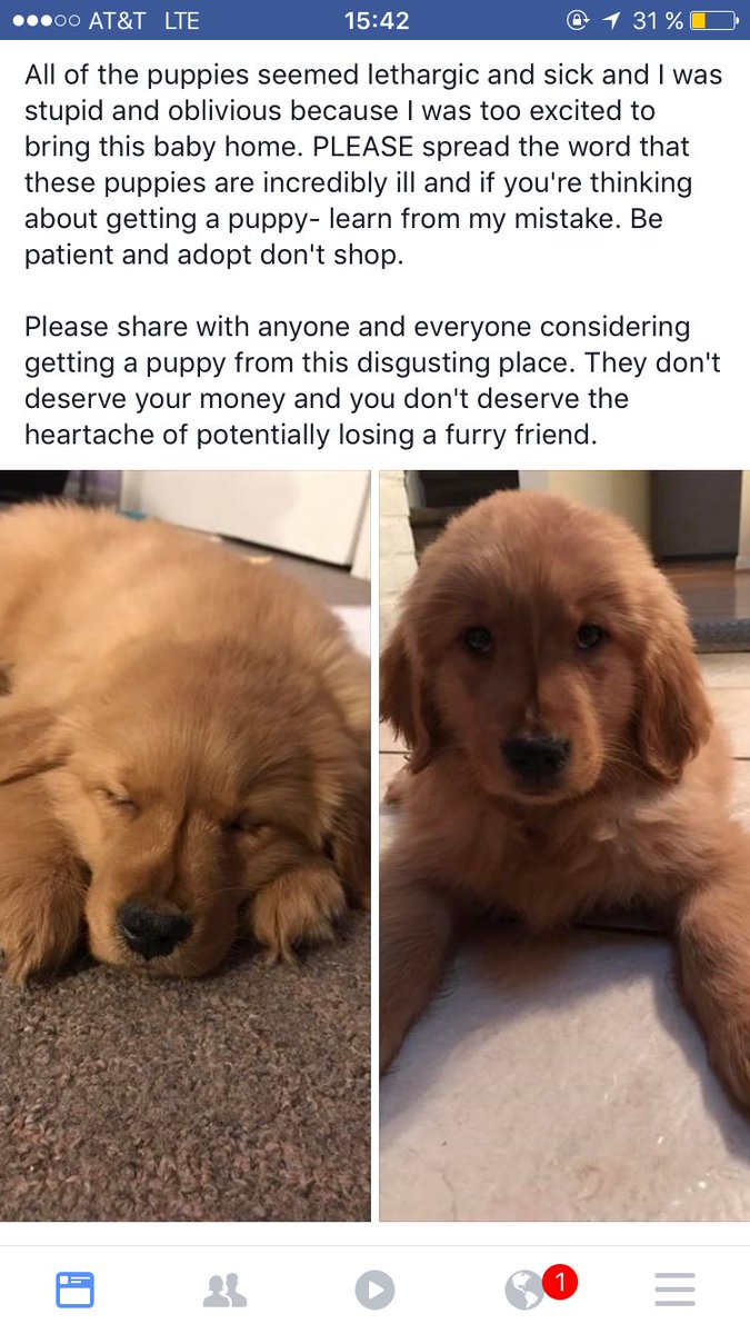 Kellie On Twitter Please Share And Stay Away From The Puppy Barn