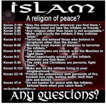 TooNormal4you's tweet photo. @rcaplice Why should we accept a people that hate us? https://t.co/9PaqN4OYVb