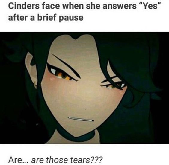 CinderFireFall's tweet image. no. I did not.