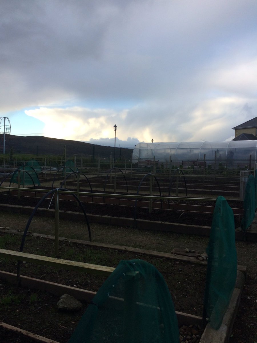 blissberryfarm's tweet photo. Brilliant 1st REPS Network Meeting hosted by Carndonagh Community Gardens @DLCommGrdnsNet @CommunityGrdns 
https://t.co/We3rILYFuU https://t.co/gWNz6Clrws