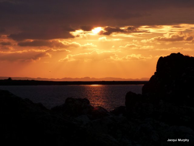 #Otters , #eagles and much more on our #winterwildlife tours.enjoymull.co.uk/category/tour-…
enjoymull.co.uk