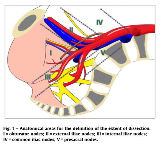 Kari Tikkinen tweet media