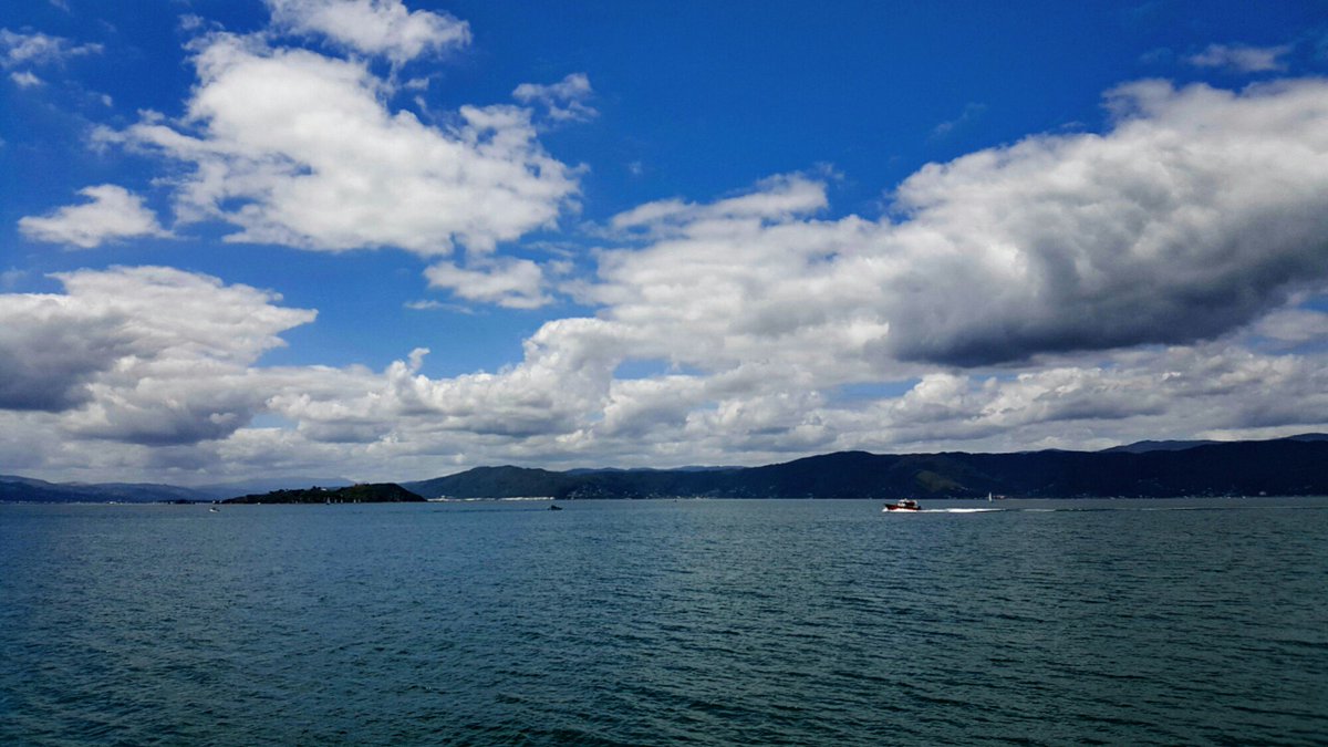 #Wellington harbour pilot launch returning to town yesterday