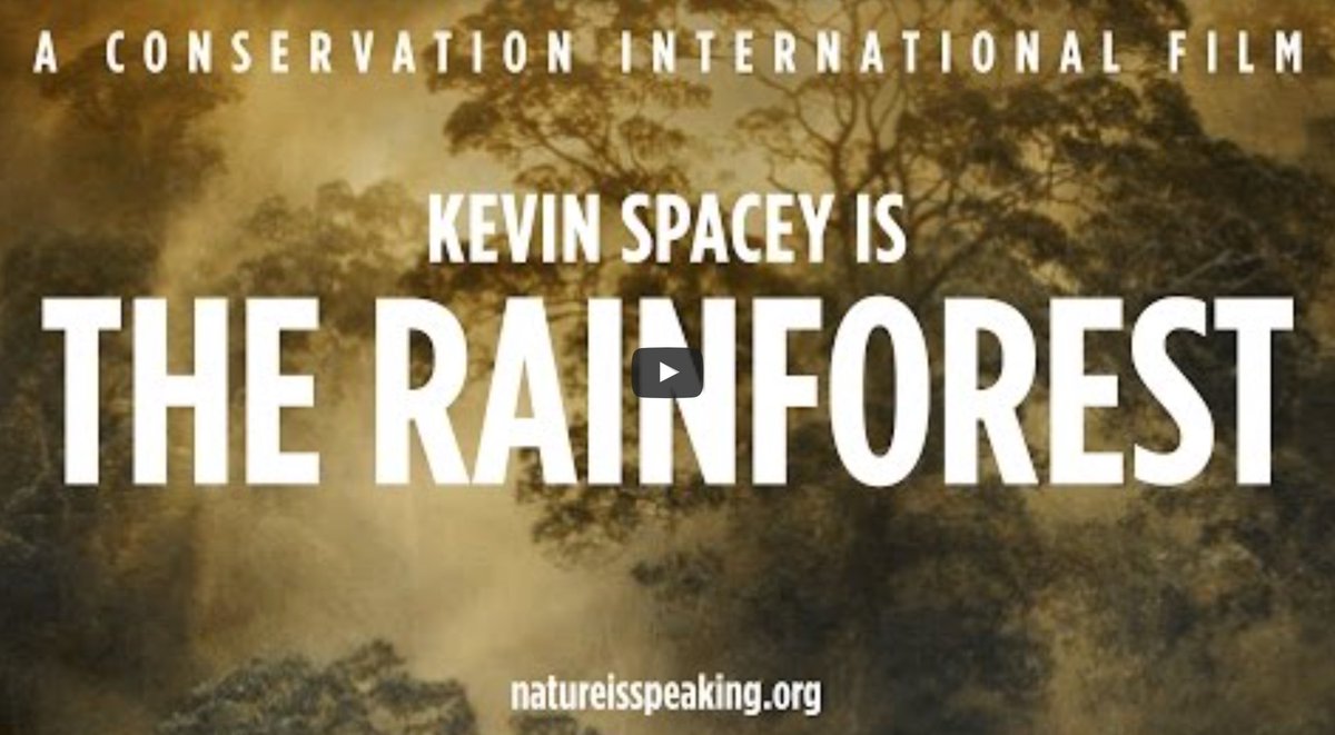 SaveUKTrees's tweet photo. Great video about rainforest trees, many points could be applied to trees here in the UK: https://t.co/CkVMu2Piah https://t.co/epbyOohdKP