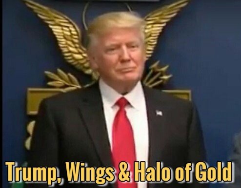 #TrumpTrain@realalexjones@prisonplanet